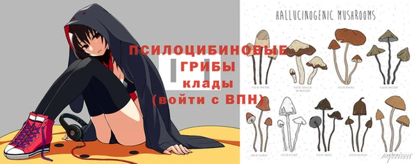 PSILOCYBIN Кодинск
