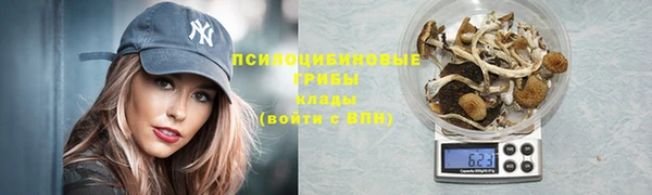 гидропоника Козловка