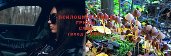 гидропоника Козловка